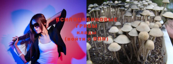 мефедрон мука Заводоуковск