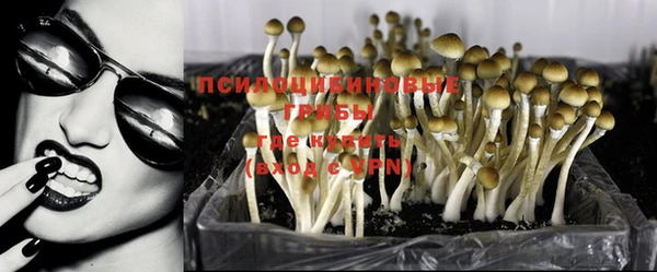 мефедрон мука Заводоуковск