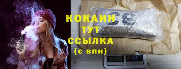 2c-b Ельня
